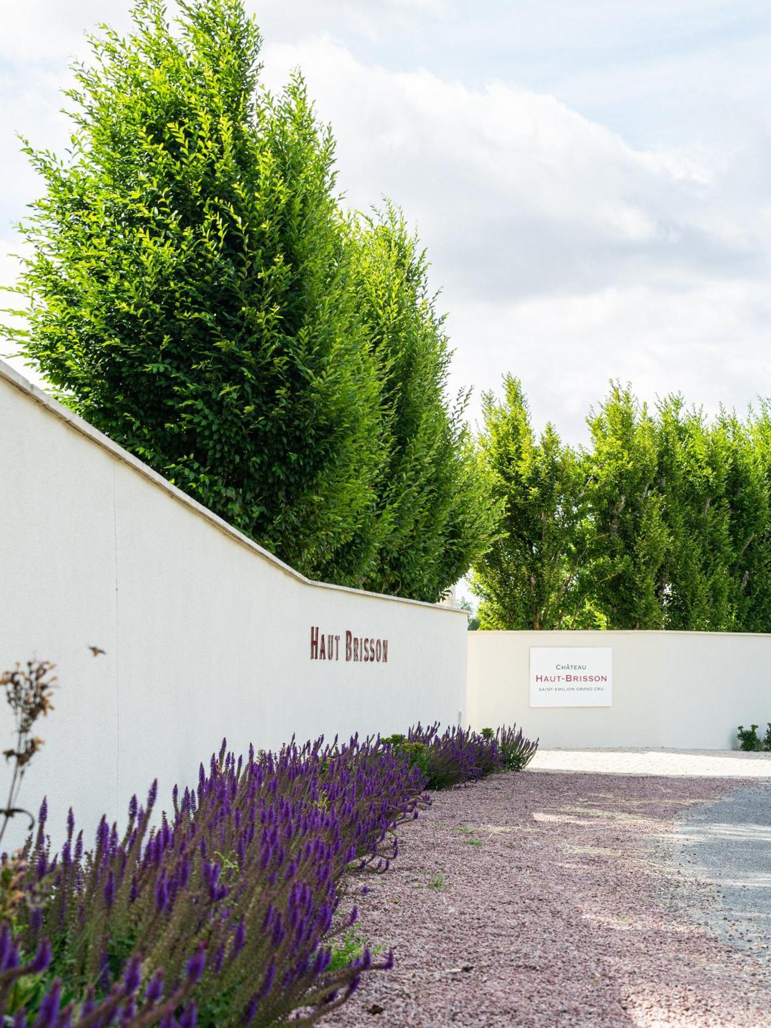 Chateau Haut-Brisson Vignonet 外观 照片